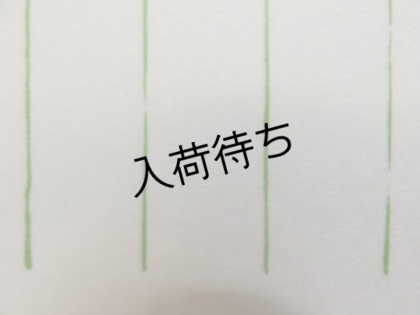 無地（線入）白