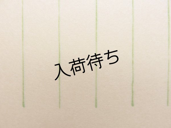 無地（線入）未晒