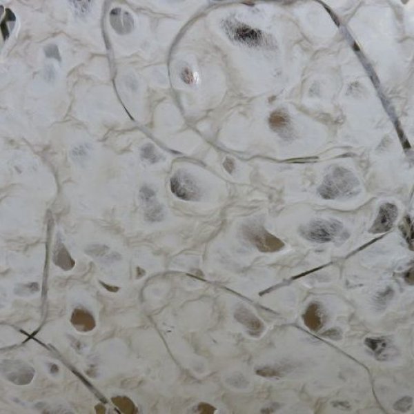 画像4: 水滴紙　大柄　楮入り (4)