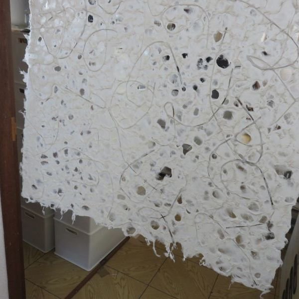 画像3: 水滴紙　大柄　楮入り (3)