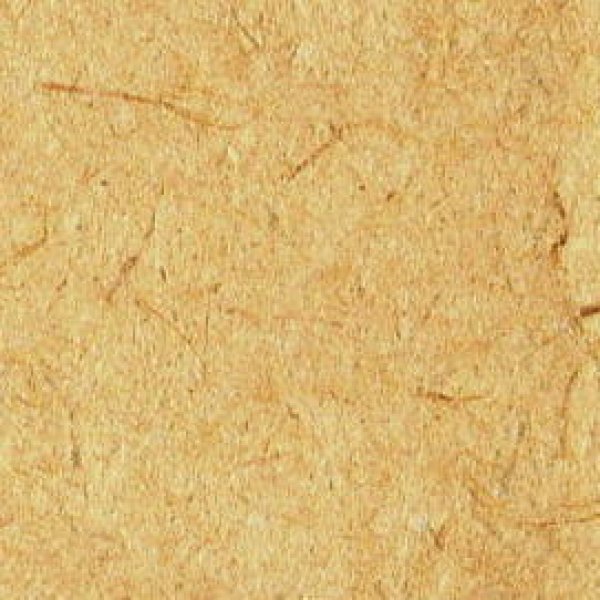 画像2: 杉皮紙３ (2)