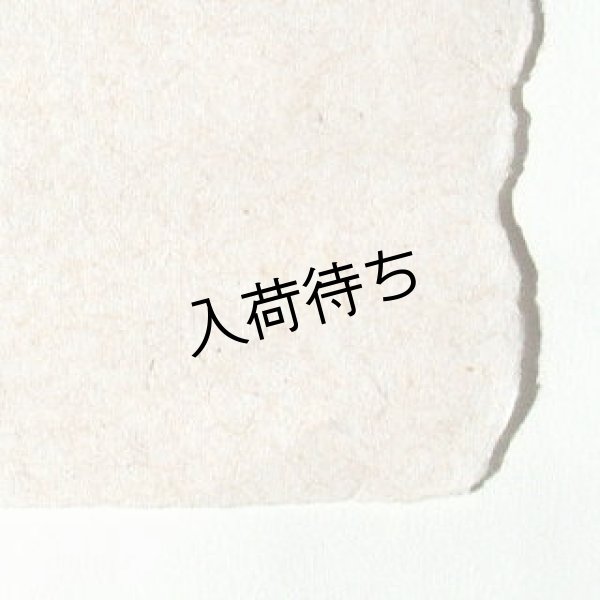 画像1: 杉皮紙５ (1)