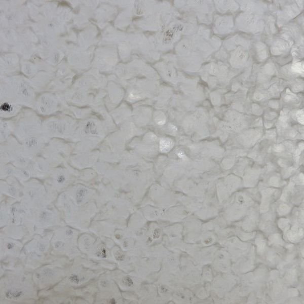 画像4: 水滴紙　小柄 (4)