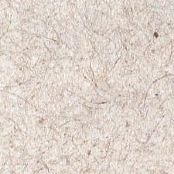 画像2: 杉皮紙４ (2)