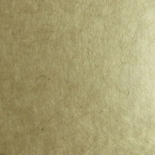 未使用　ハガキ　まとめ売り 過去の年賀はがき / 郵便はがき 5枚セット 組み合わせ自由 希少