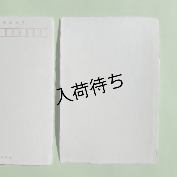 画像1: 越前和紙　耳付はがき10枚 (1)