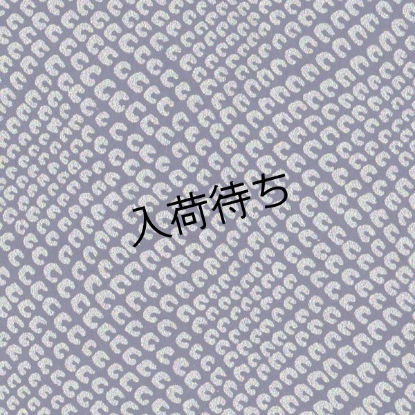 c526 紺／銀