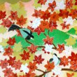 画像5: 京染千代紙　菊判　四季 (5)