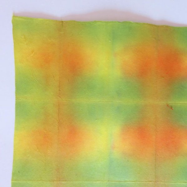 画像3: 板締め　黄色系 (3)