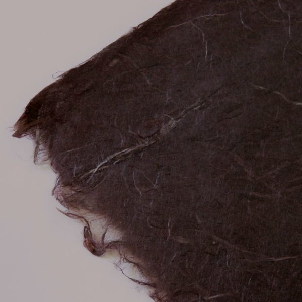 画像2: 色雲龍　こげ茶 (2)