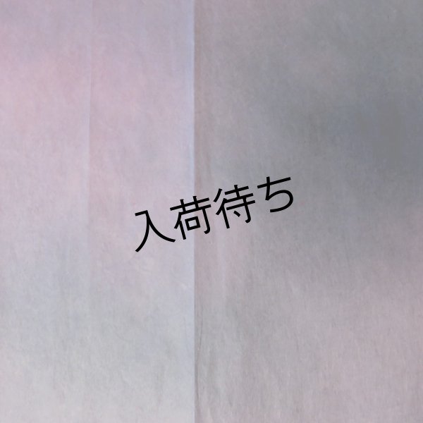 折れ筋1本