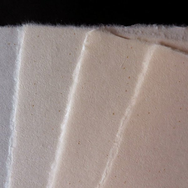 画像5: 内山の耳付便箋(ピンク)ばら売り (5)