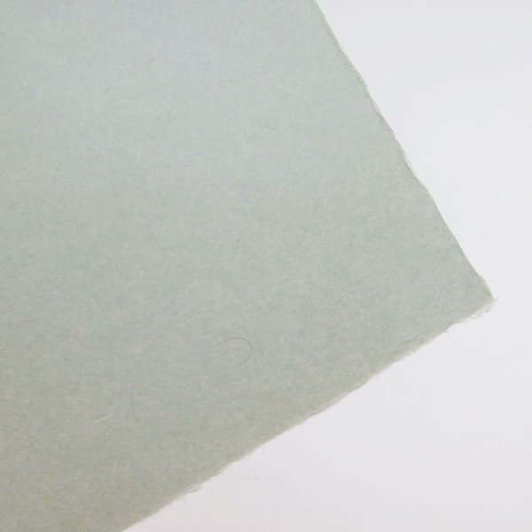 画像2: 草木染　ログウッド (2)