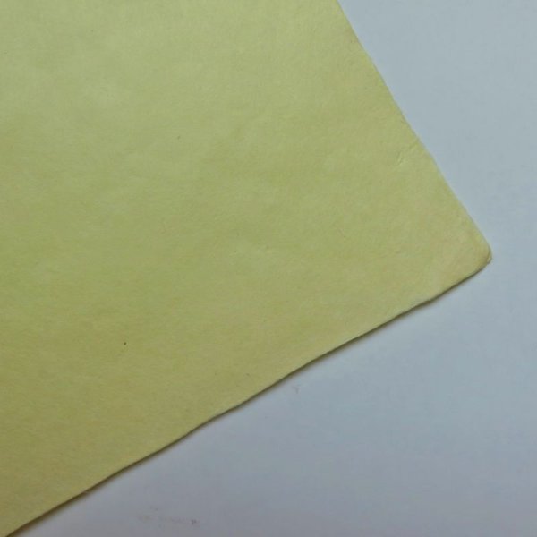 画像2: 草木染　やまもも (2)