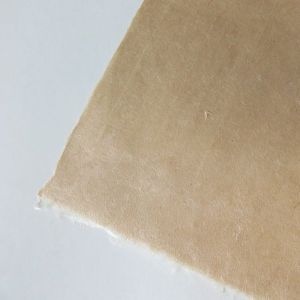 画像2: 草木染 柿渋 (2)