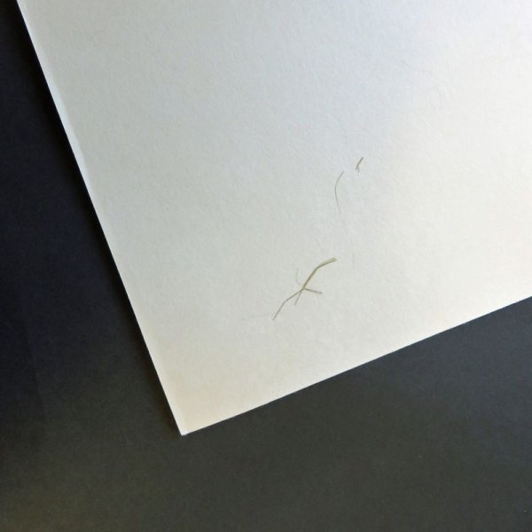 画像3: 和紙の袋(イグサ入り)(バラ売り) (3)