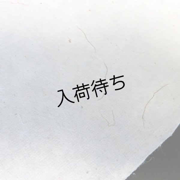 画像4: 五箇山和紙　山ぶどう蔓入り紙 (4)