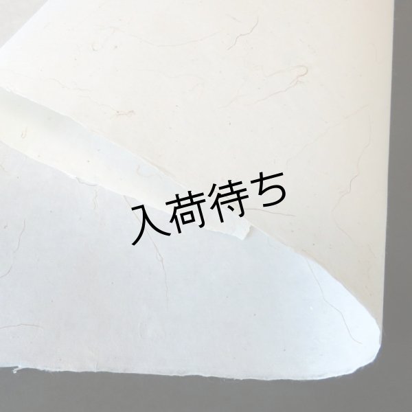 画像3: 五箇山和紙　山ぶどう蔓入り紙 (3)