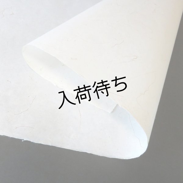 画像2: 五箇山和紙　山ぶどう蔓入り紙 (2)