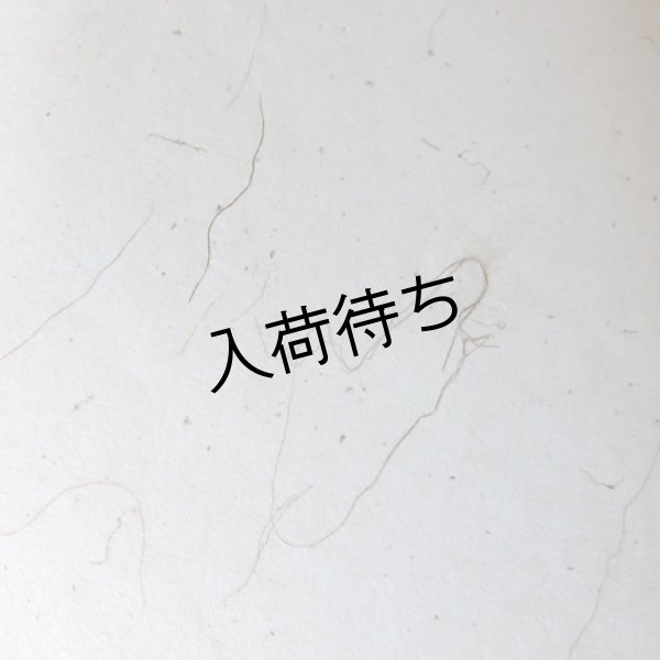 画像1: 五箇山和紙　山ぶどう蔓入り紙 (1)