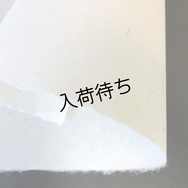画像3: 美濃和紙　粕入り紙（小さい粕） (3)