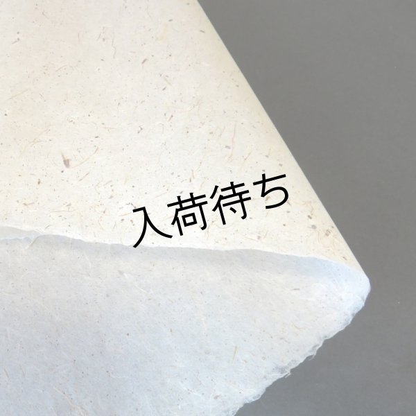 画像4: 越後小出和紙　皮入り紙 (4)