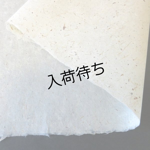 画像2: 越後小出和紙　皮入り紙 (2)