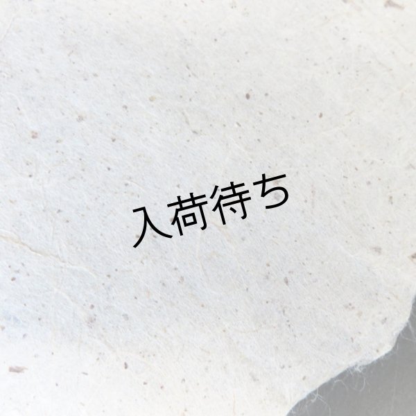 画像3: 越後小出和紙　皮入り紙 (3)