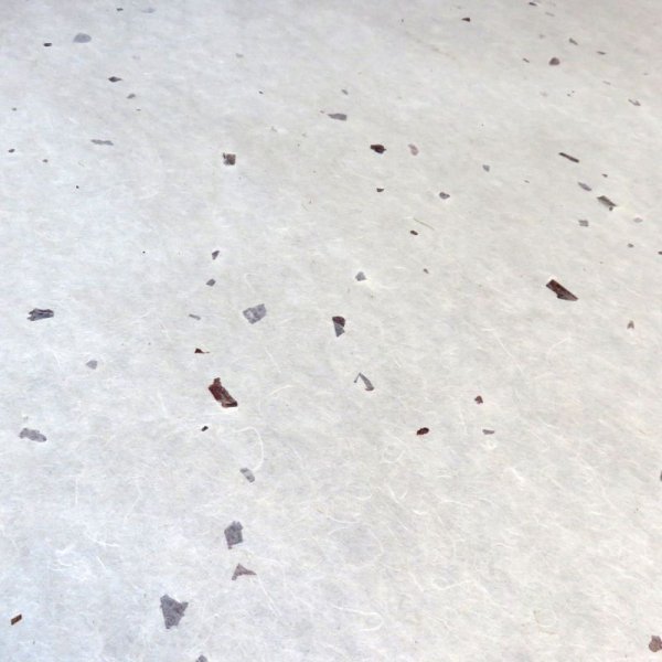 画像4: 越中和紙　筋ちり入り紙 (4)