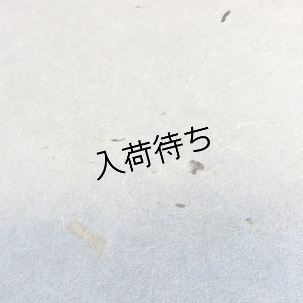 画像1: 美濃和紙　粕入り紙（小さい粕） (1)