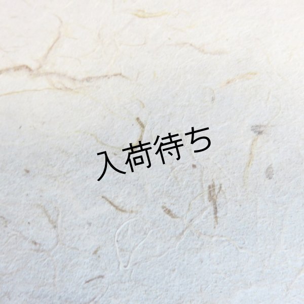 画像1: 美濃和紙　粕入り紙（大きい粕） (1)