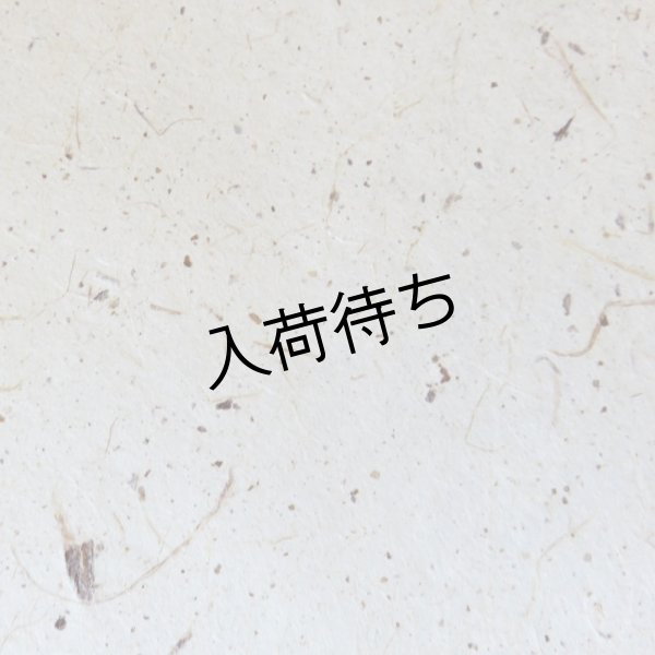 画像1: 越後小出和紙　皮入り紙 (1)