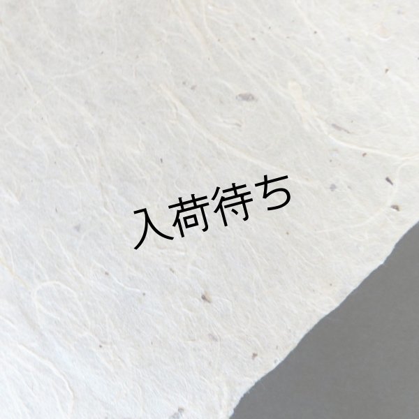 画像4: 黒谷和紙　ちり入り紙 (4)