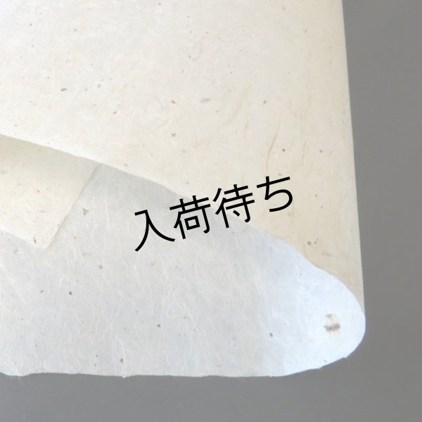 画像3: 黒谷和紙　ちり入り紙 (3)