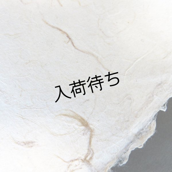画像4: 美濃和紙　粕入り紙（大きい粕） (4)