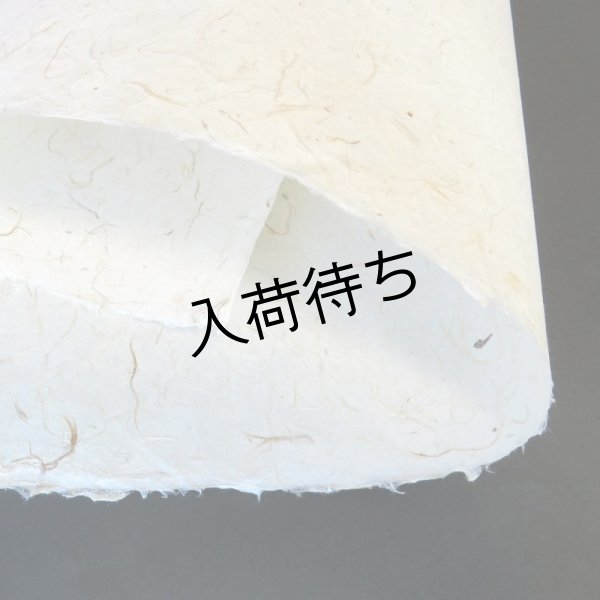 画像3: 美濃和紙　粕入り紙（大きい粕） (3)