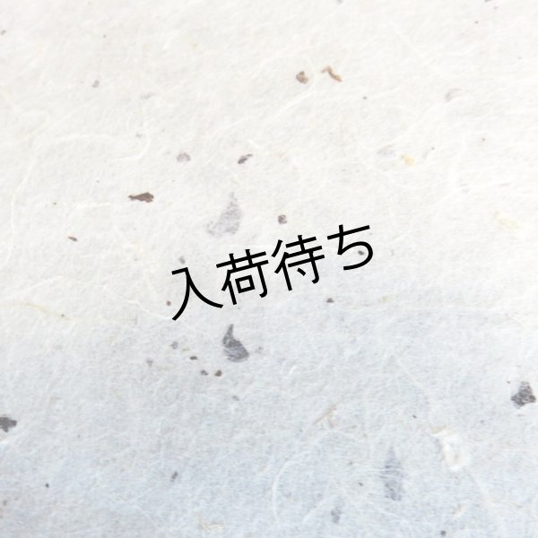 画像1: 越中和紙　楮皮入り紙 (1)