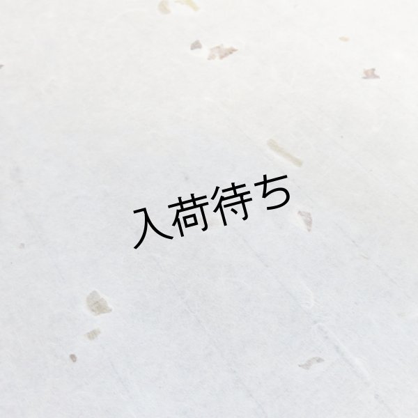 画像1: 東山和紙　粕入り紙（少） (1)