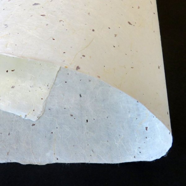 画像3: 越中和紙　楮皮入り紙 (3)