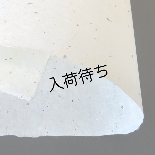 画像3: 越中和紙　楮皮入り紙 (3)