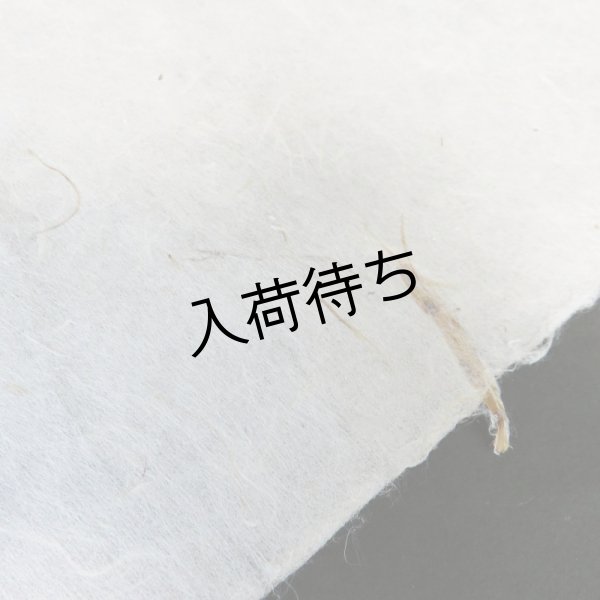 画像6: さつま和紙　竹入り紙 (6)