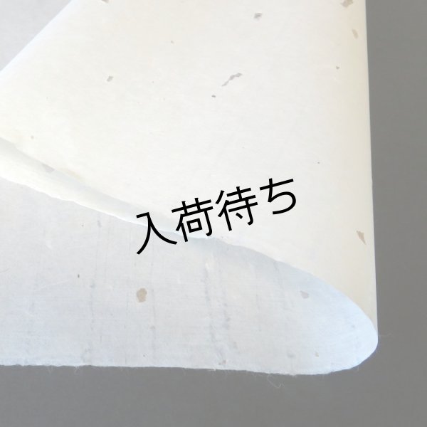 画像3: 東山和紙　粕入り紙（少） (3)