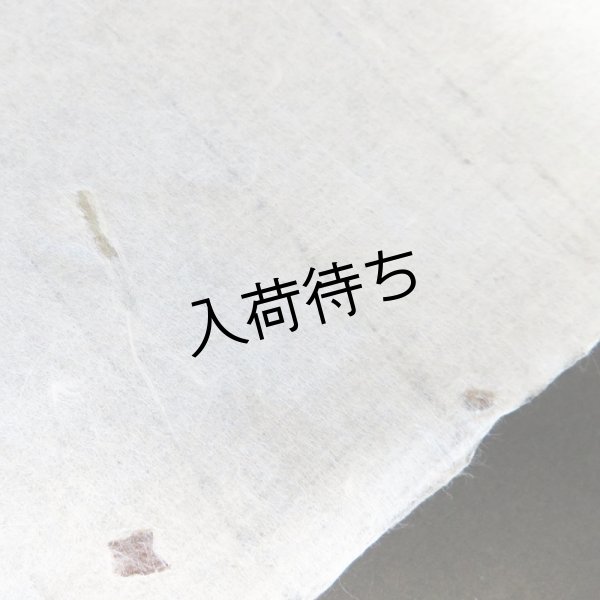 画像4: 東山和紙　粕入り紙（少） (4)