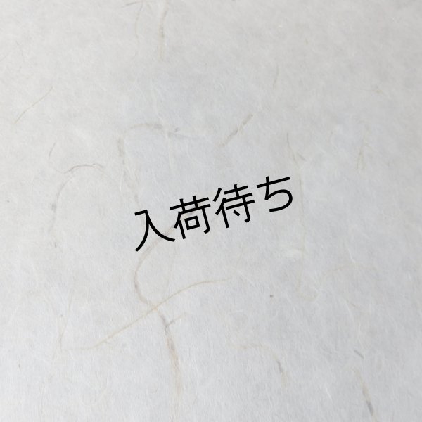 画像1: さつま和紙　竹入り紙 (1)