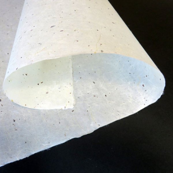 画像2: 越中和紙　楮皮入り紙 (2)