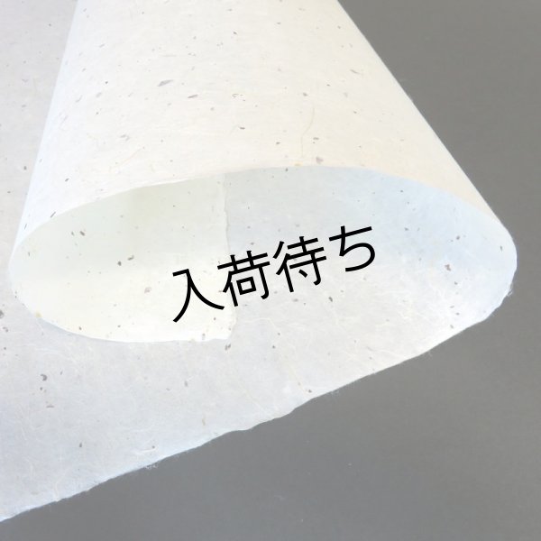 画像2: 越中和紙　楮皮入り紙 (2)