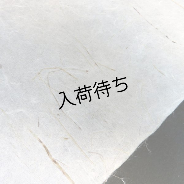 画像4: さつま和紙　竹入り紙 (4)