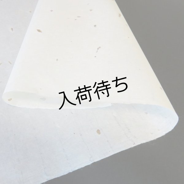 画像2: 東山和紙　粕入り紙（少） (2)