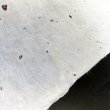 画像4: 越中和紙　楮皮入り紙 (4)