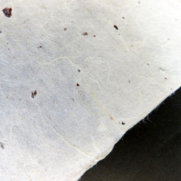 画像4: 越中和紙　楮皮入り紙 (4)